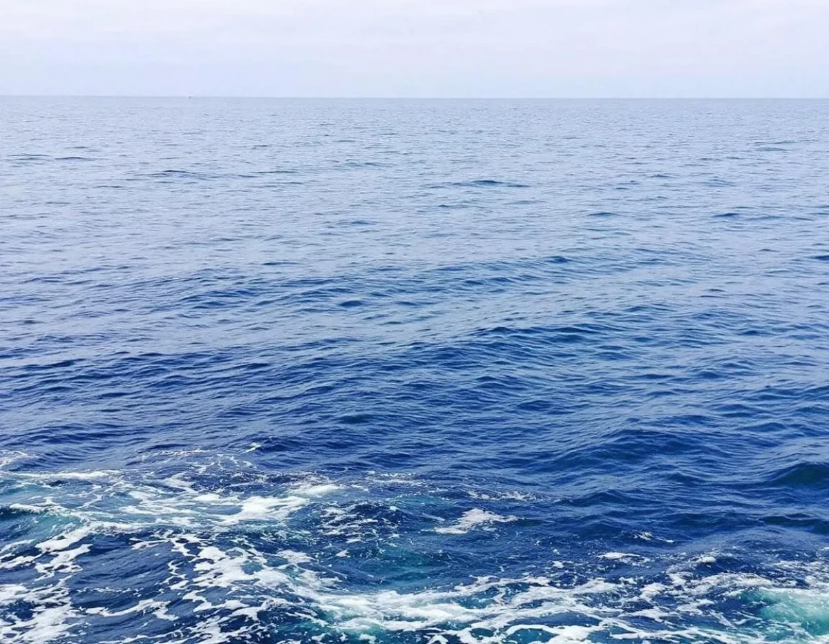 La responsabilité juridique face à l'érosion des écosystèmes marins : enjeux et perspectives